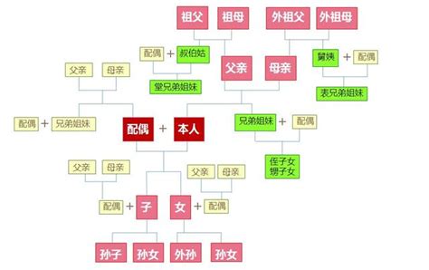 2013年屬什麼 三等親有哪些